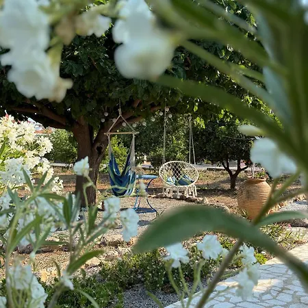 εξοχικό Elia Lakonias