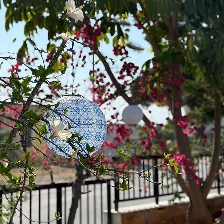 εξοχικό Elia Lakonias