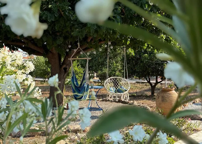 εξοχικό Elia Lakonias