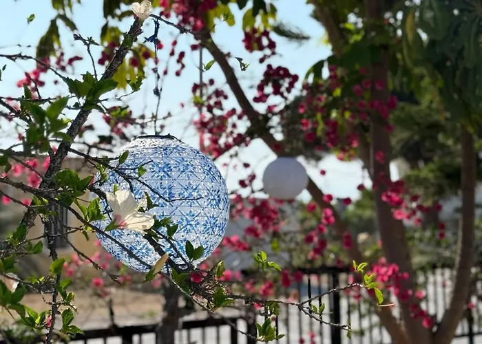 εξοχικό Elia Lakonias